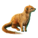 Item yellowmongoose 01