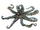 Mimic Octopus