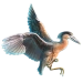 Item boat-billedheron 01