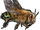 Killer Bee Swarm