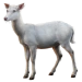 Item whitedeer 01