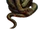 Mud Snake