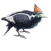 Item ivory-billedwoodpecker 01