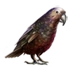 Item kaka 01