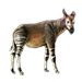 Item okapi 01