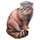 Item pallascat 01