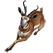 Item pronghornantelope 01