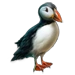 Item atlanticpuffin 01