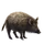 Item sardinianwildboar 01