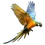 Macaw