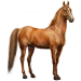 Item saddlebred 01