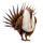 Item greatersage-grouse 01