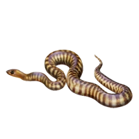 Sand Python | Mafia Wars Wiki | Fandom