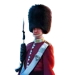 Item royal guard 01