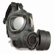 637437 mask1.jpg