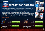 Support for Schools