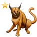 Item caracal gold 01