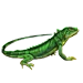 Item spinelesslizard 01