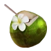 Agua de Coco