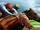 Fix The Triple Crown