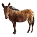 Item zorse 01