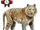 Tiglon