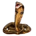 Item kingcobra 01