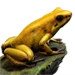 Item goldenpoisonfrog 01