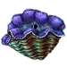 Item giantclam 01