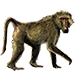 Item chacmababoon 01