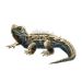Item tuatara 01