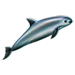 Item vaquita 01