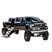 Item longhornlimo 01