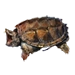 Item snappingturtle 01