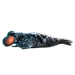 Item hoodedseal 01