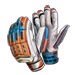 Item cricketgloves 01