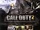 Call of Duty 2