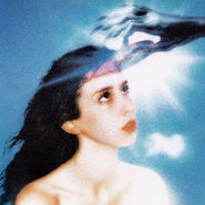 Imaginal Disk (2024)