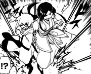Seisyun and Hakuei attacked