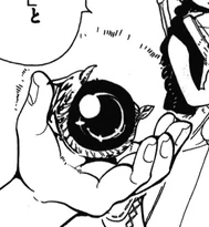 Eye of the Rukh.png (38 KB) Eye of the Rukh