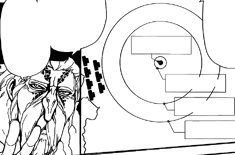 Mogamett and Magnostadt barriers