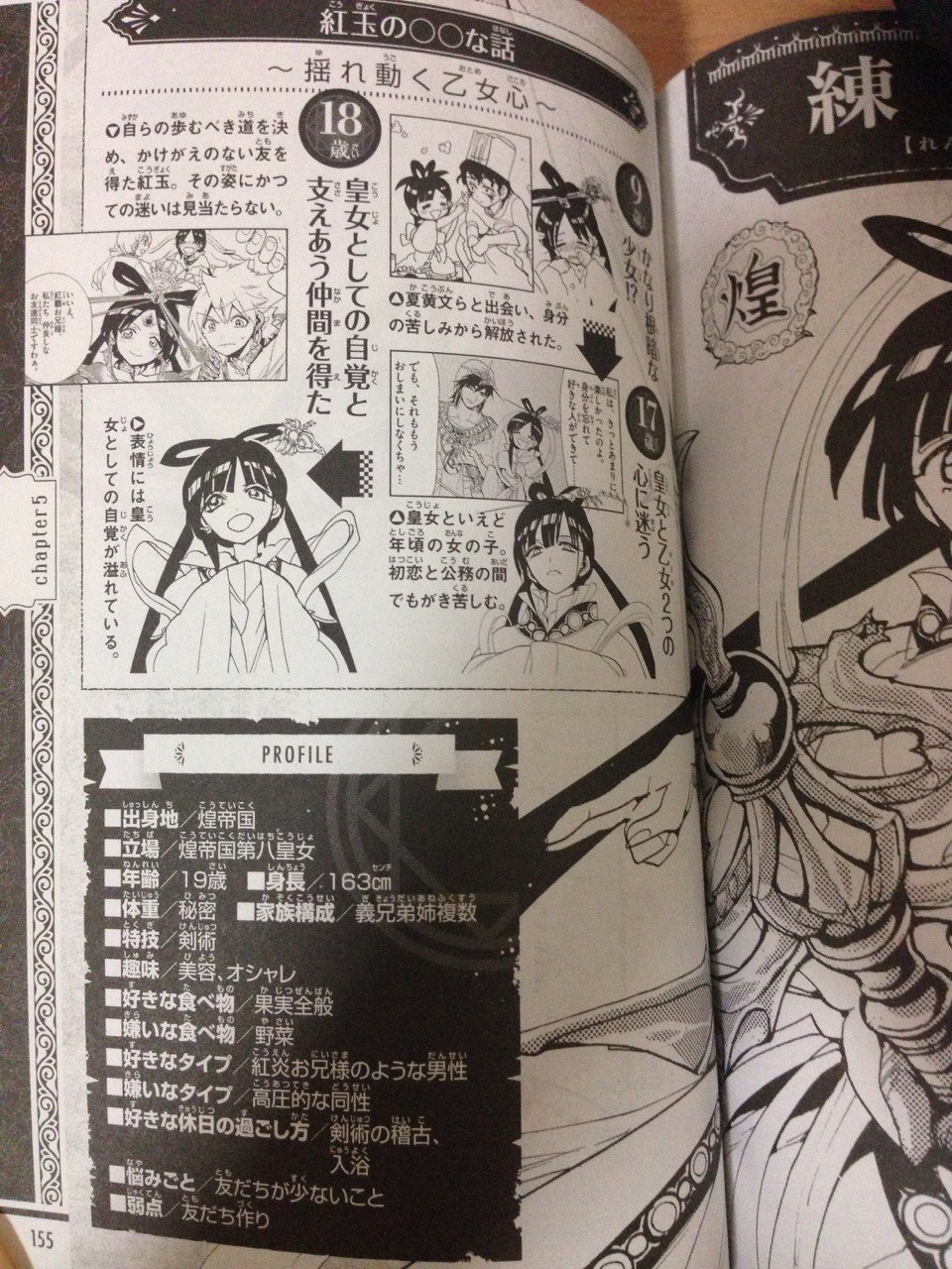 Magi Character Encyclopedia, Magi Wiki