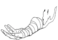 Haku's Fallen Arm.png (38 KB) Hakuryuu's arm