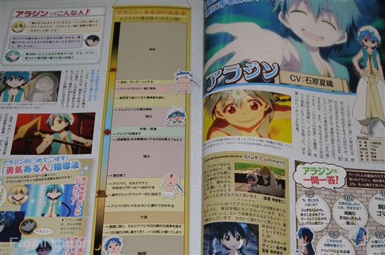 Magi The Labyrinth of Magic: TV Anime Perfect Fan Book, Magi Wiki