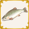 Pretty River Fish.png