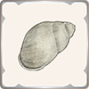 Sandbox Shell.png