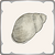 Sandbox Shell.png