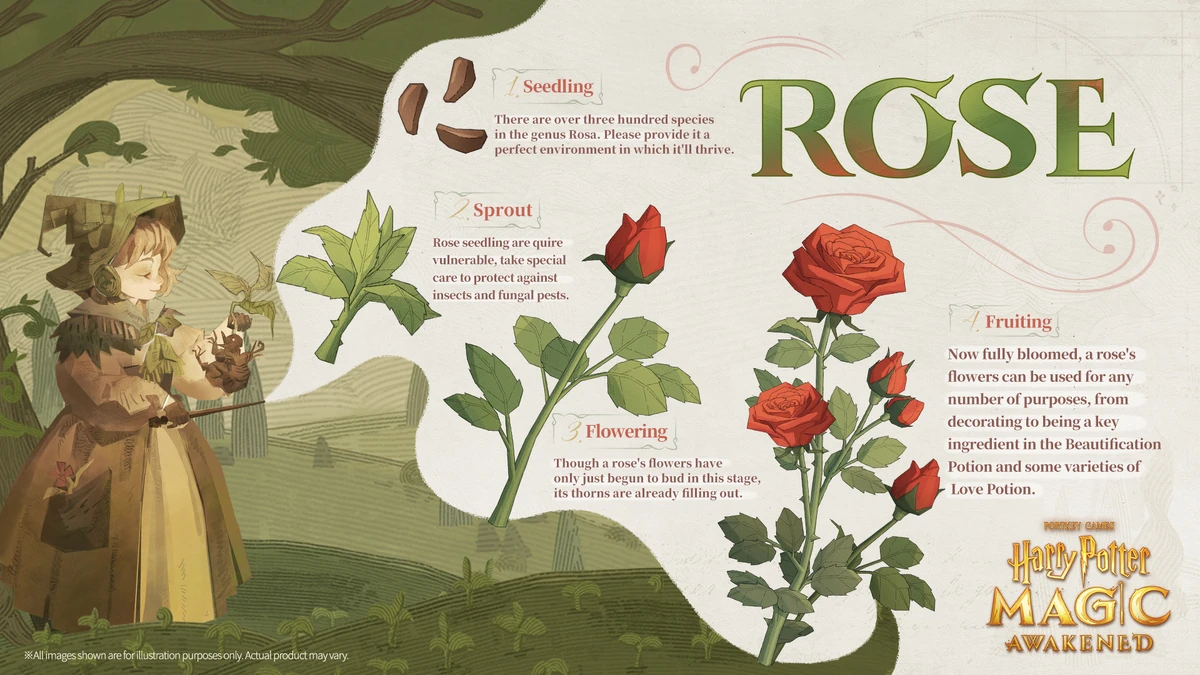 Rose Harry Potter Magic Awakened Wiki Fandom