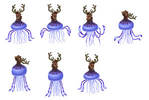 New Horse-faced Jellyfish 