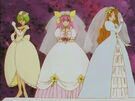 Wedding Peach, Angel Lily and Angel Daisy speech (bride)